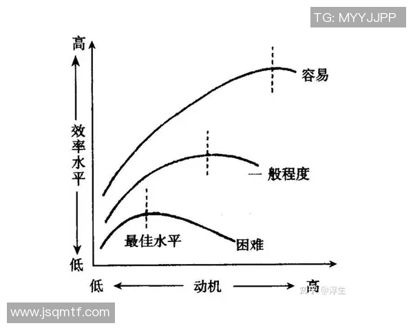 中学生体育锻炼的重要性与全面发展关系的深入探讨与分析